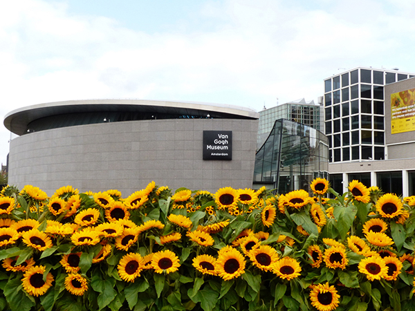 amsterdam-van-gogh-museum-sunflowers-at-opening-new-entrance-photo-by-conscious-travel-guide-amsterdam